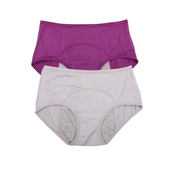 YOYI FASHION Bamboo Viscose Period Briefs, 2 Pack, Purple Gray